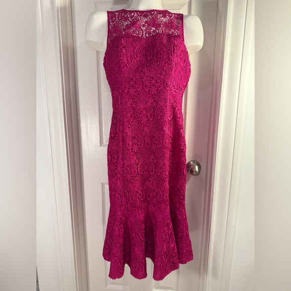Eliza J Magenta Lace Sleeveless Sheath Dress (Size 4) - Picture 12 of 14